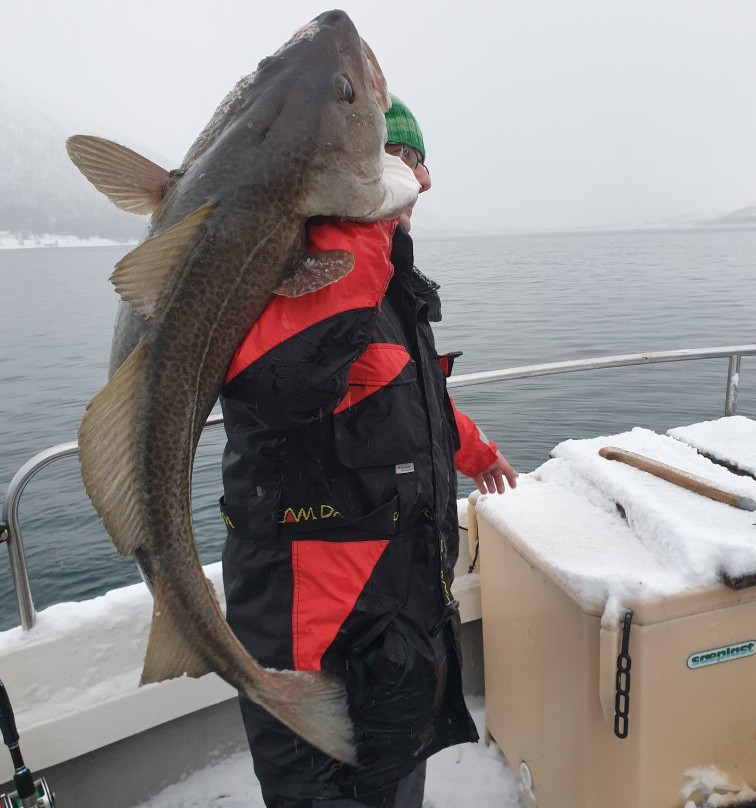 Lady Elsie Tromso - Sea fishing & Whale watching-特罗姆瑟必去景点