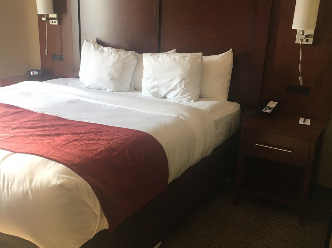 Comfort Suites主图