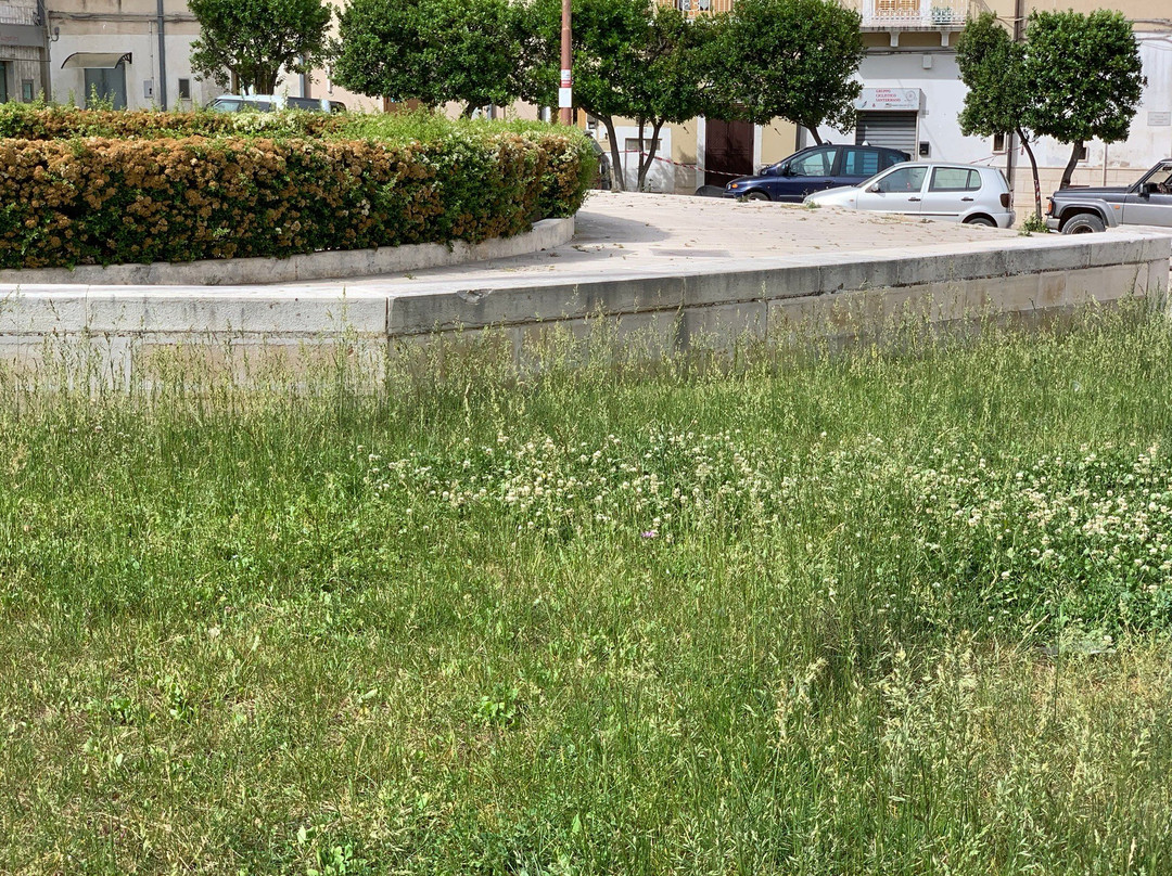 Piazza Municipio-Santeramo in Colle必去景点