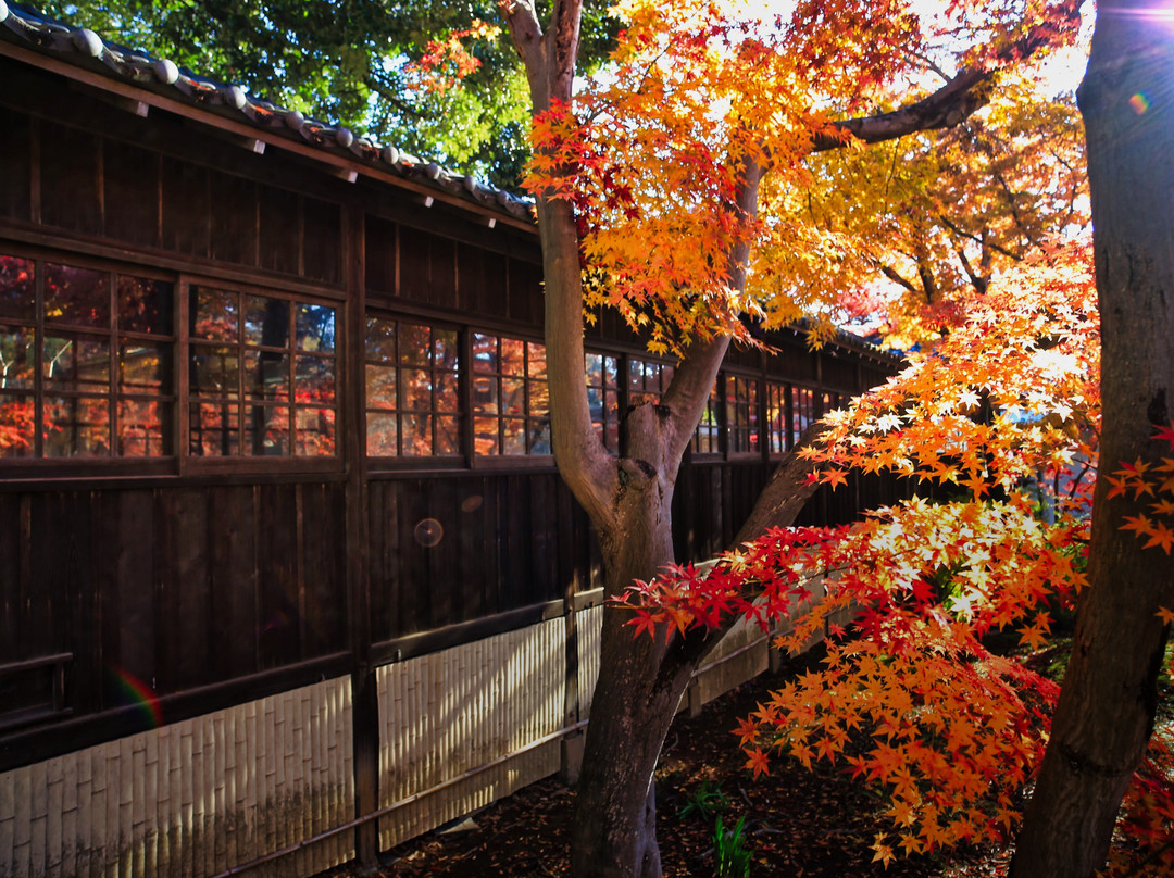 Hondo-ji Temple-松户市必去景点