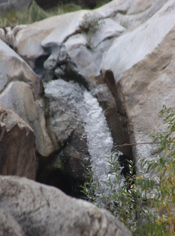 Murray Canyon Trail-棕榈泉市必去景点