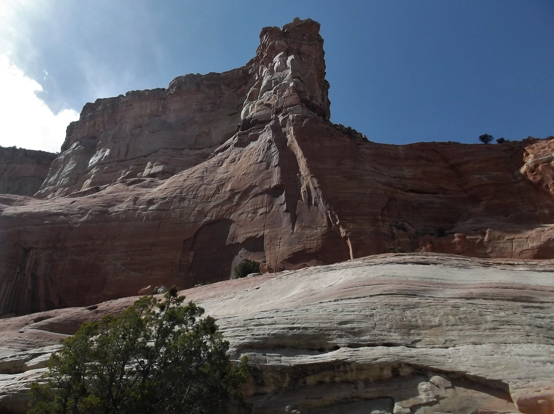 Yellowhorse Gift Shop-Lupton必去景点