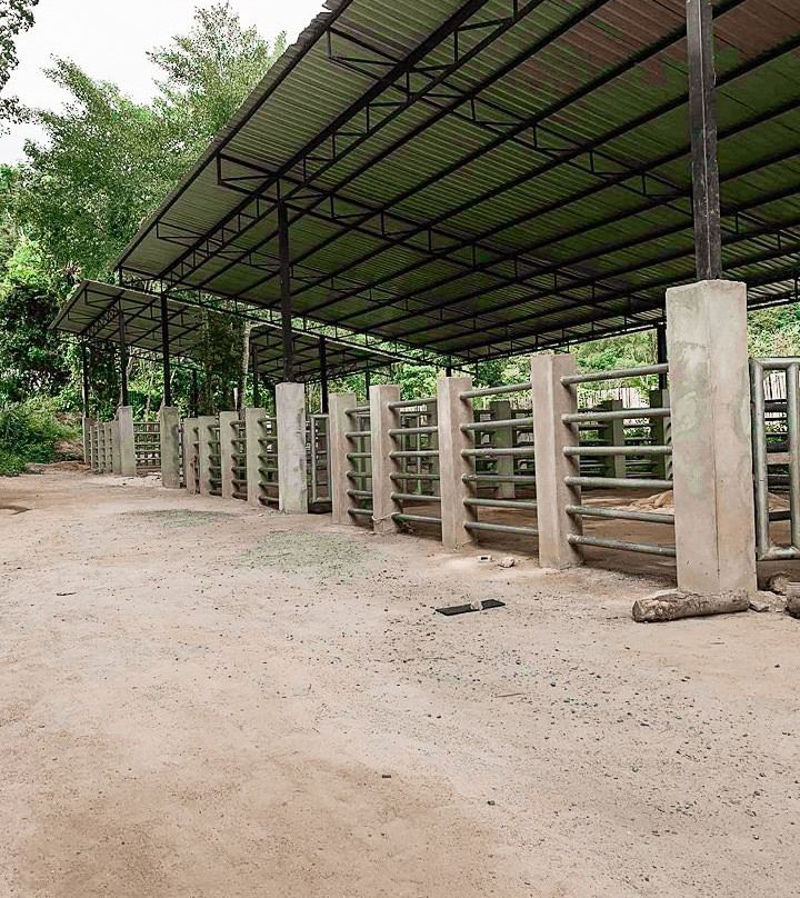 Green Elephant Sanctuary Park景点图片