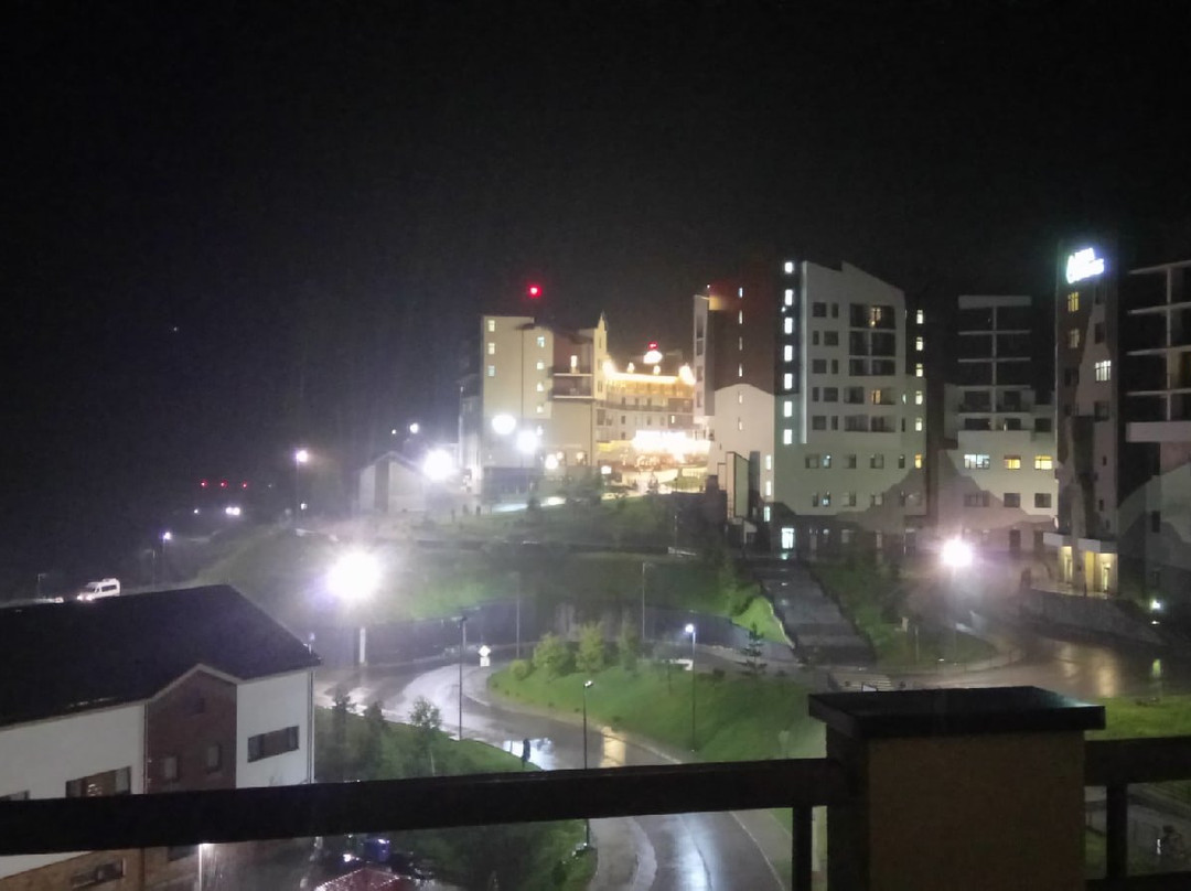 Rosa Ski Inn Hotel主图