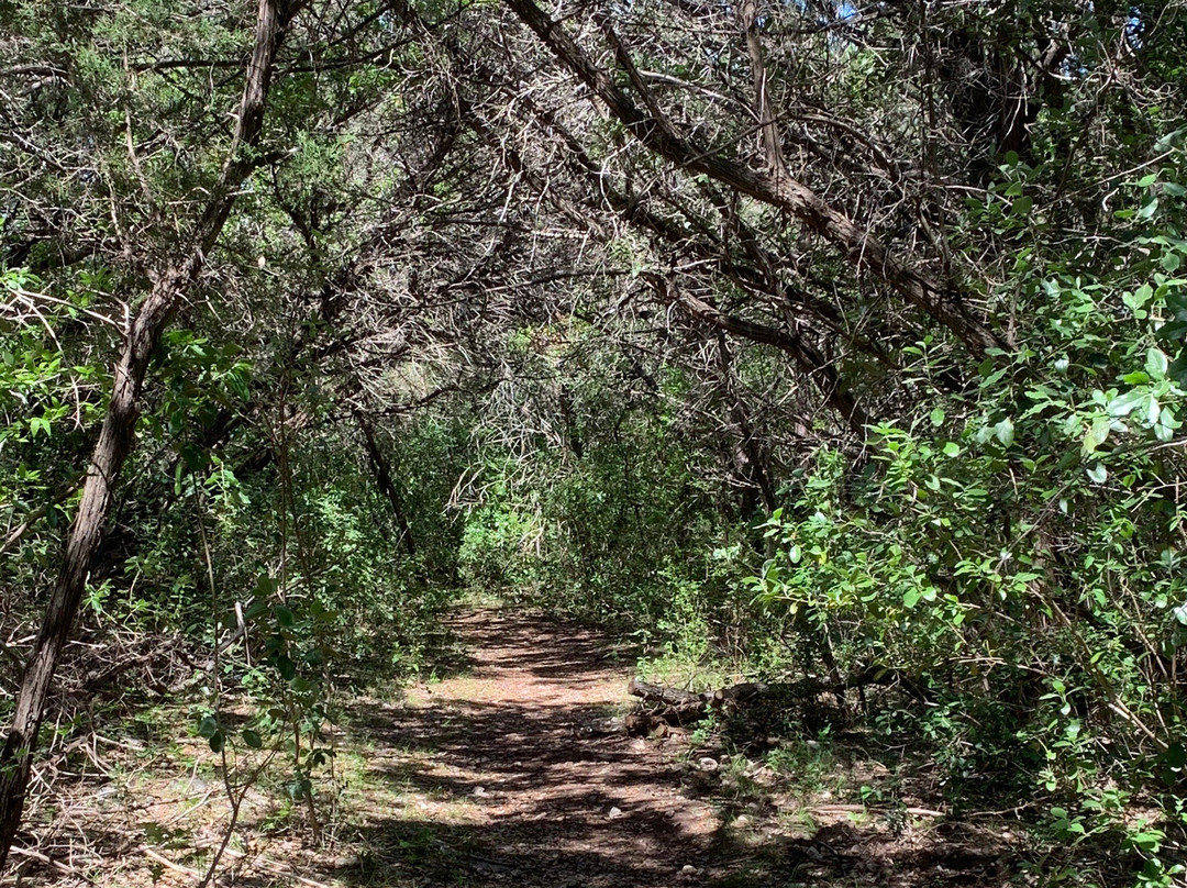 Senator Frank L. Madla Natural Area-Helotes必去景点