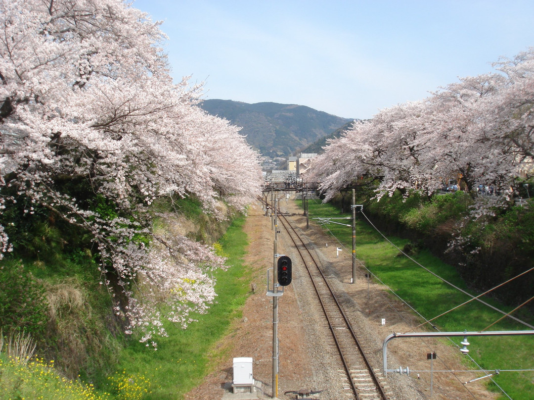 Yamakita-machi Furusato Koryu Center景点图片