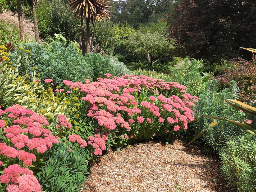The Garden of St Erth-Blackwood必去景点