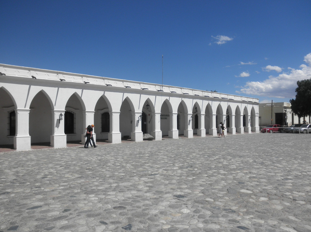 Museo Arqueologico Pio Pablo Diaz景点图片