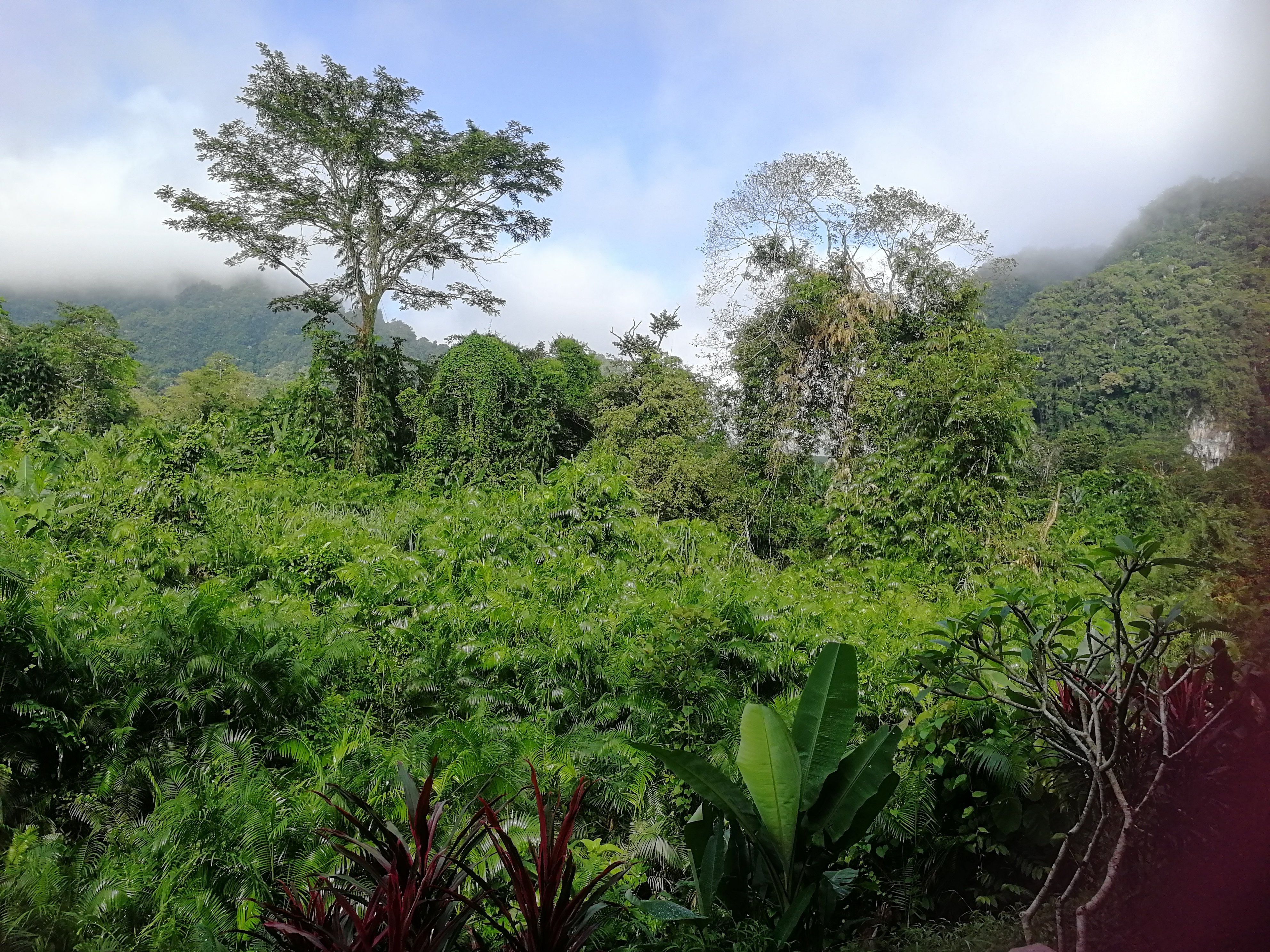 Anurak Community Lodge-浴室