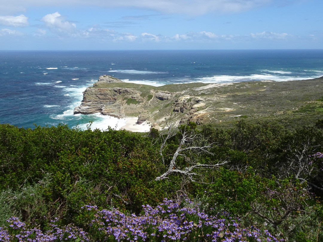 Cape Point-桌山国家公园必去景点