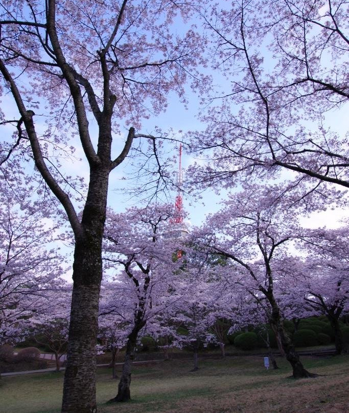 Hachimanyama Park-宇都宫市必去景点