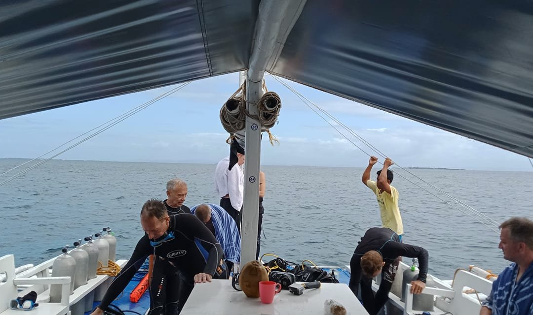 Coral Sea Dive Cebu-拉普拉普必去景点