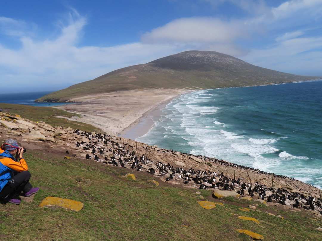 Saunders Island景点图片