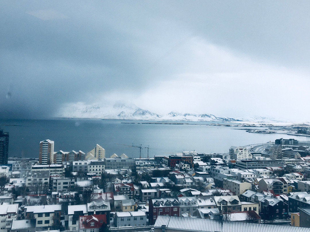 雷克雅未克大教堂景点图片