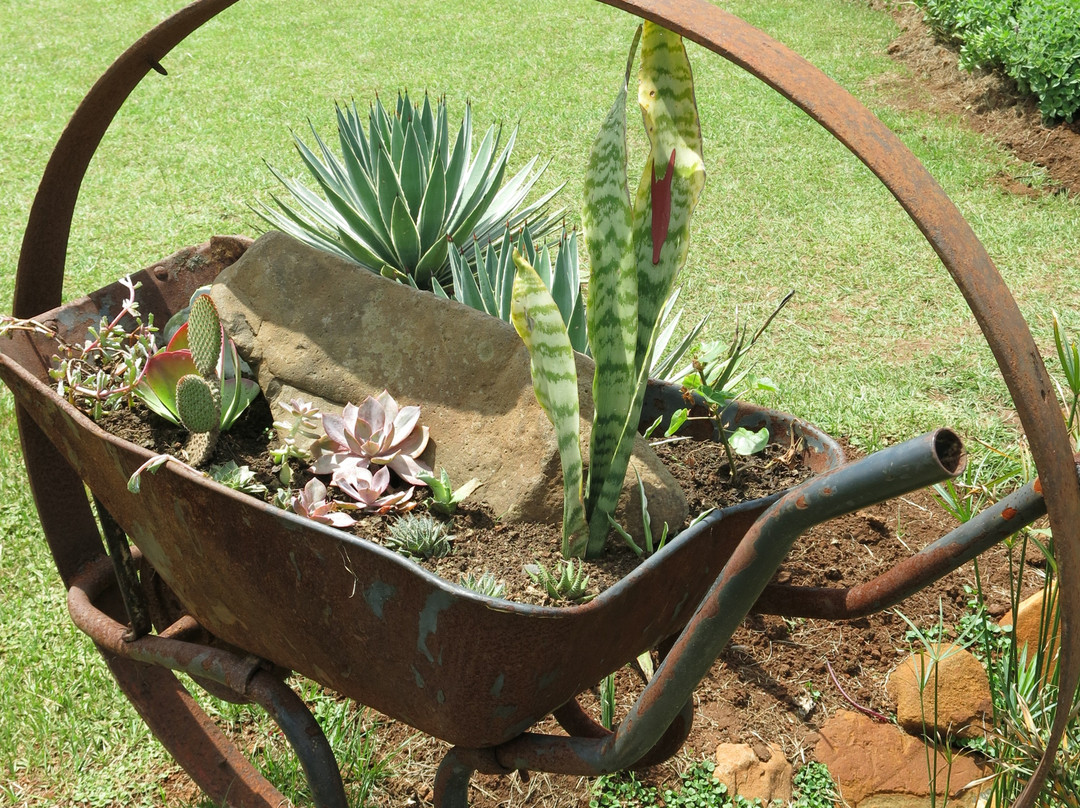 Drakensberg Brewery-Cathkin Park必去景点