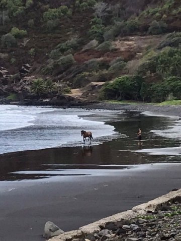 Relais Moehau-酒店景观