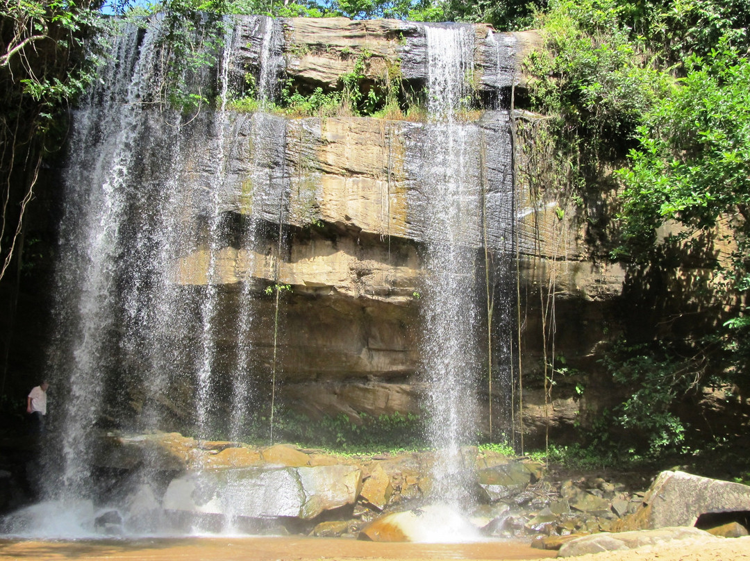 Sheldrick Falls-Kwale必去景点