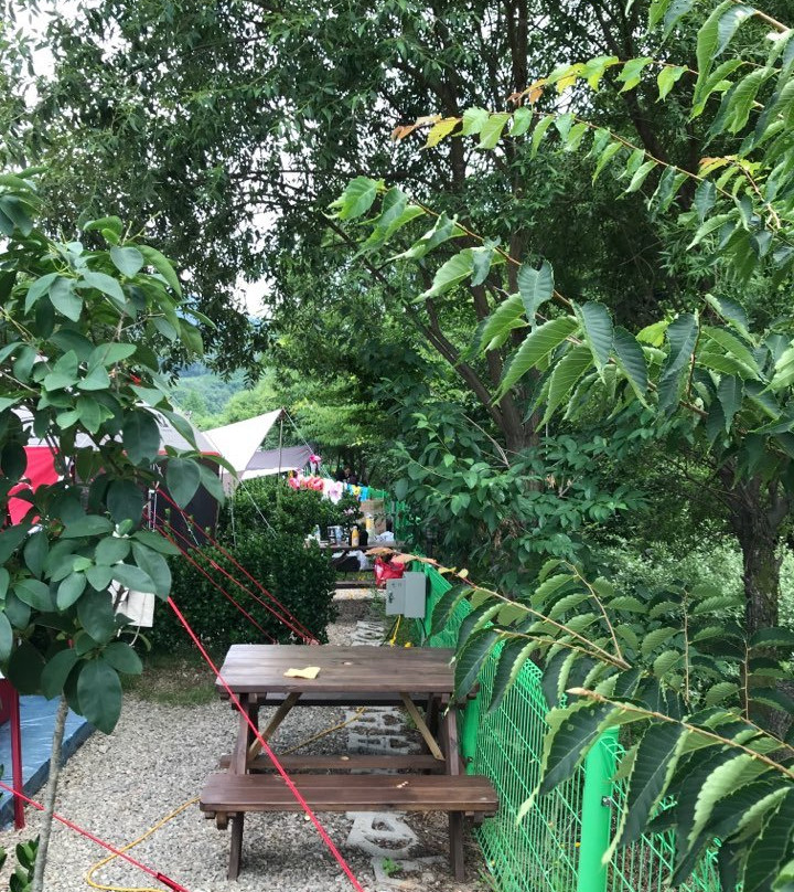 The Starry Night Pension&Camping主图