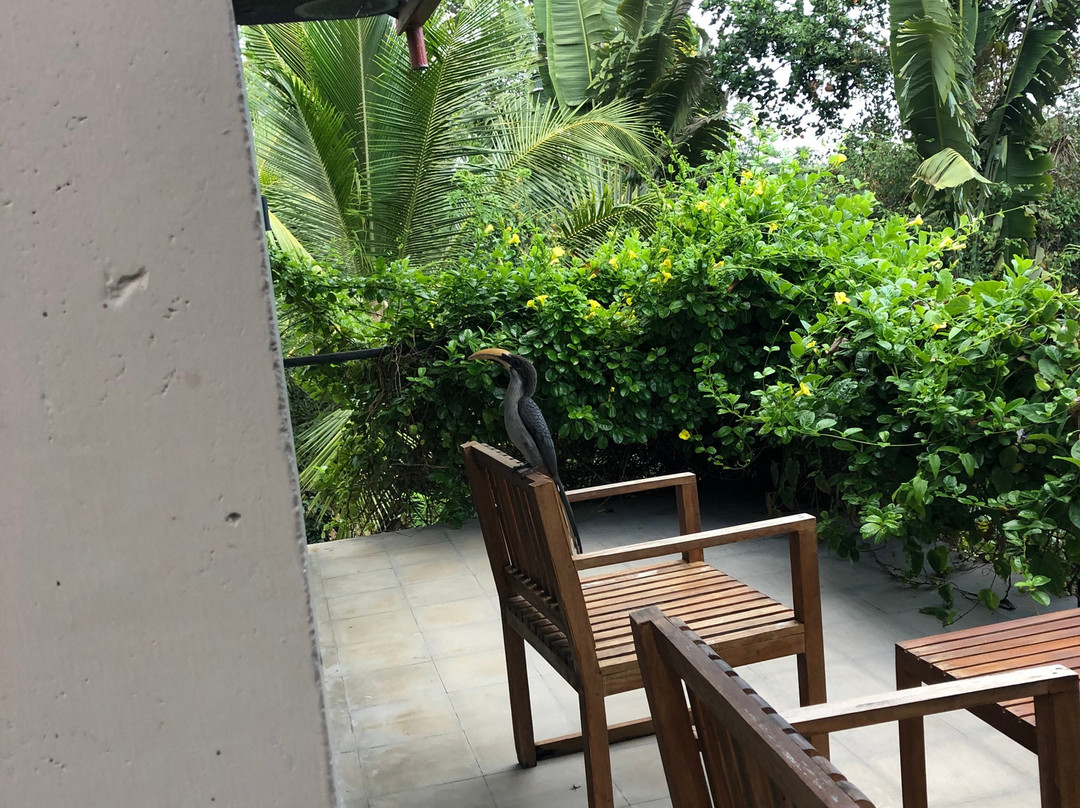 棕榈天堂小屋别墅主图