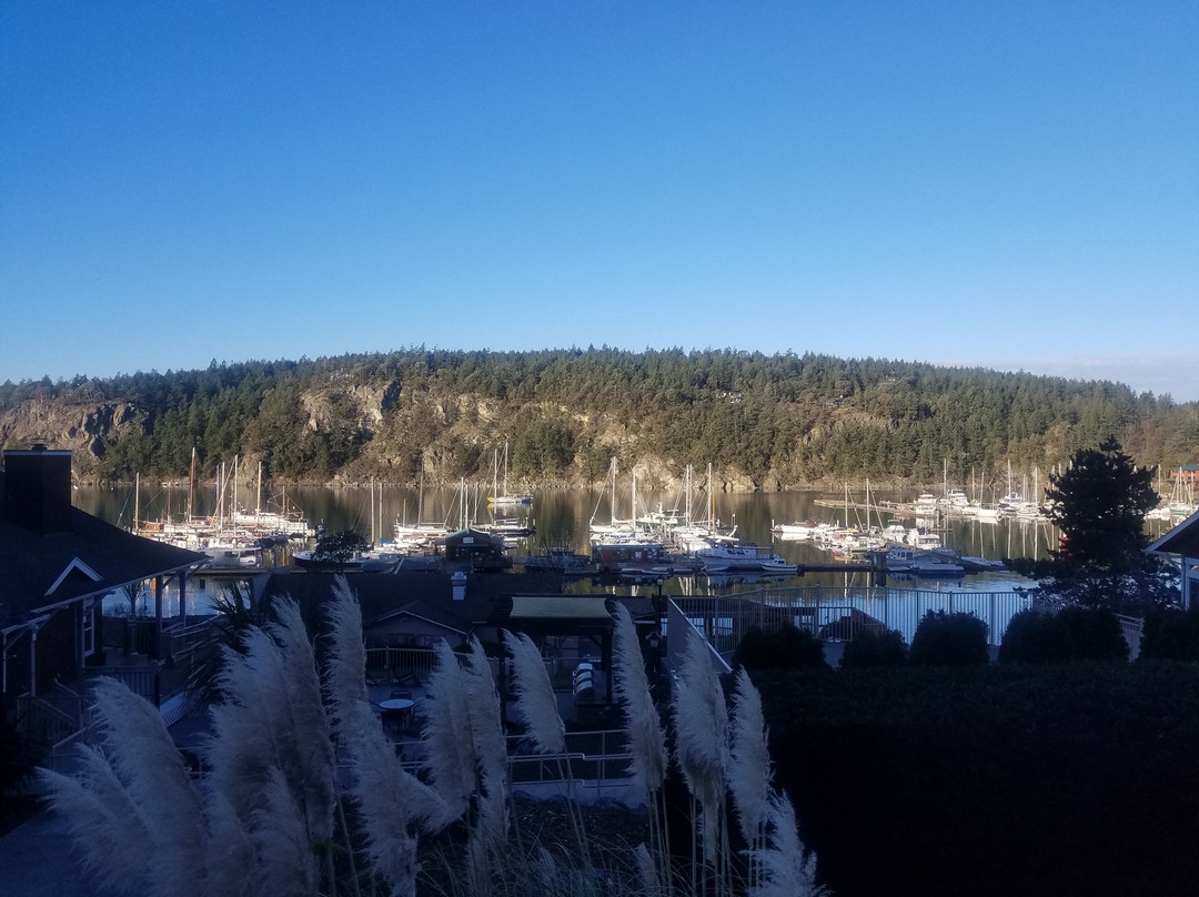 WorldMark Deer Harbor主图