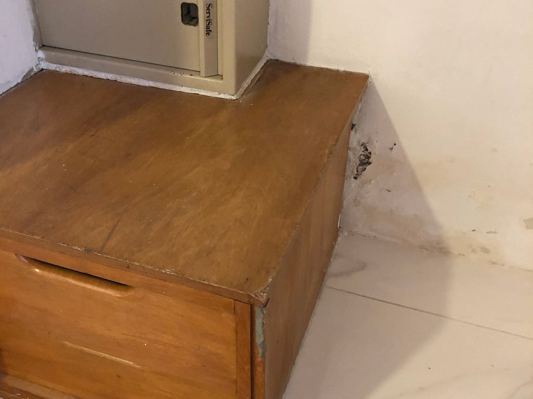 枫丹白露大酒店主图