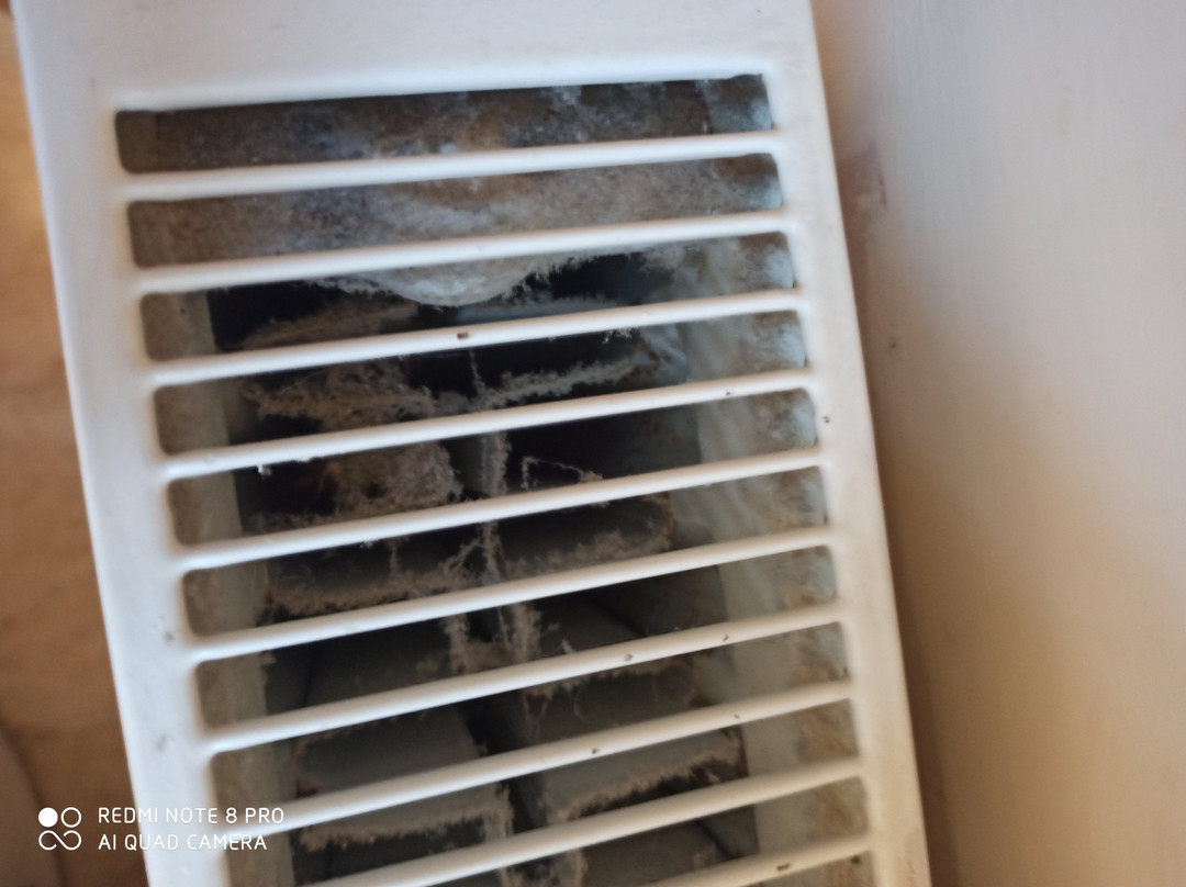 Hazelwood House主图