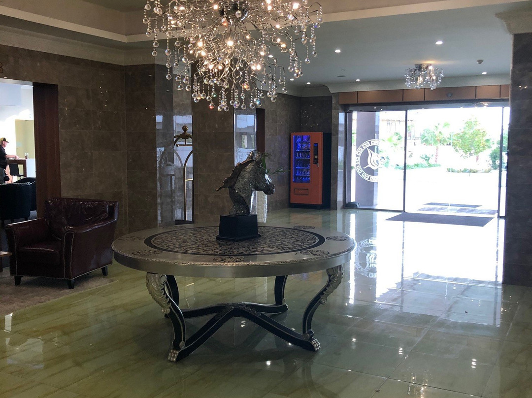 The Swan River Hotel主图