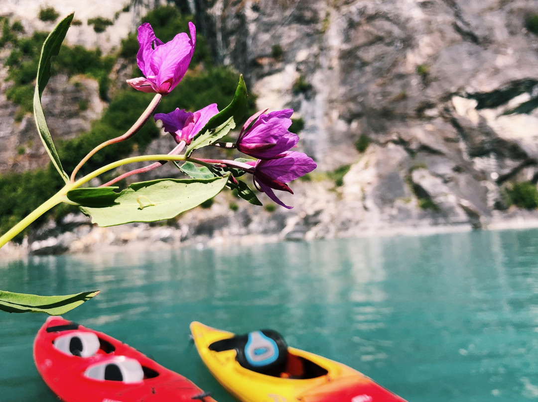 Custom Alaska Cruises, Inc景点图片