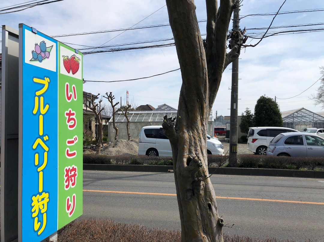 Sayama Berry Land-狭山市必去景点