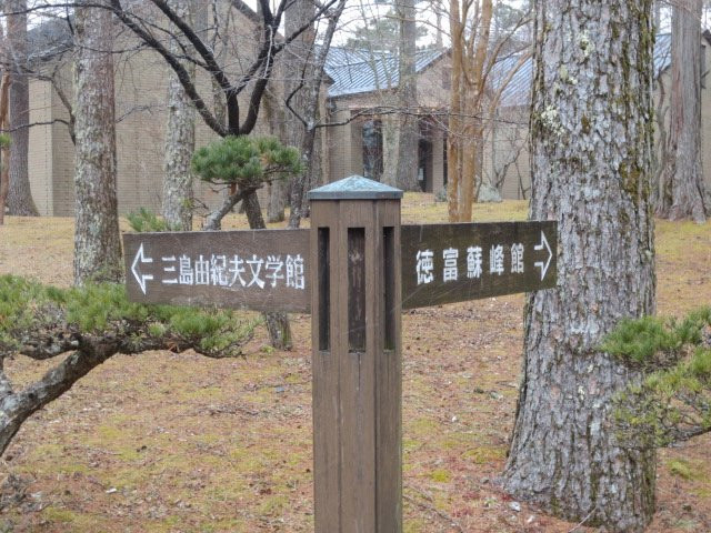 Bungakukan (Mishima Yukio Museum)景点图片