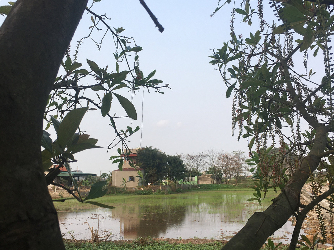 Ninh Binh Village1990 Homestay主图