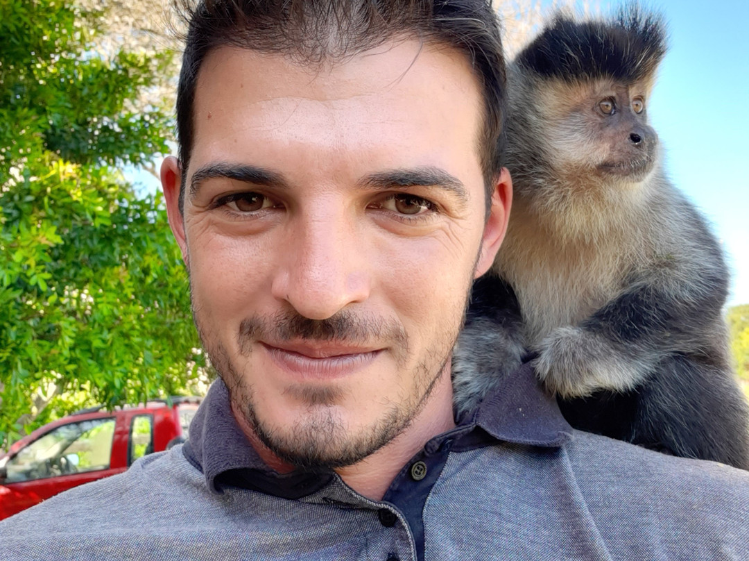 Morro dos Macacos-Passo de Torres必去景点