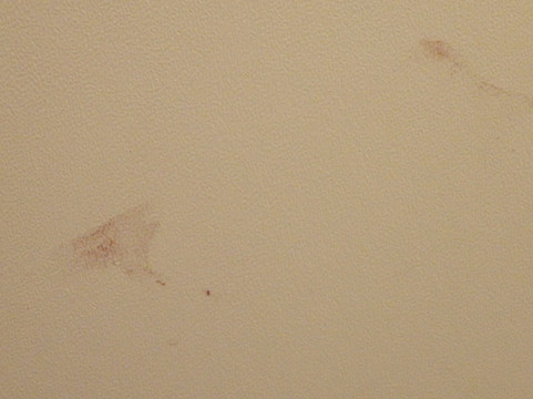 汤之川温泉笑函馆屋旅馆主图