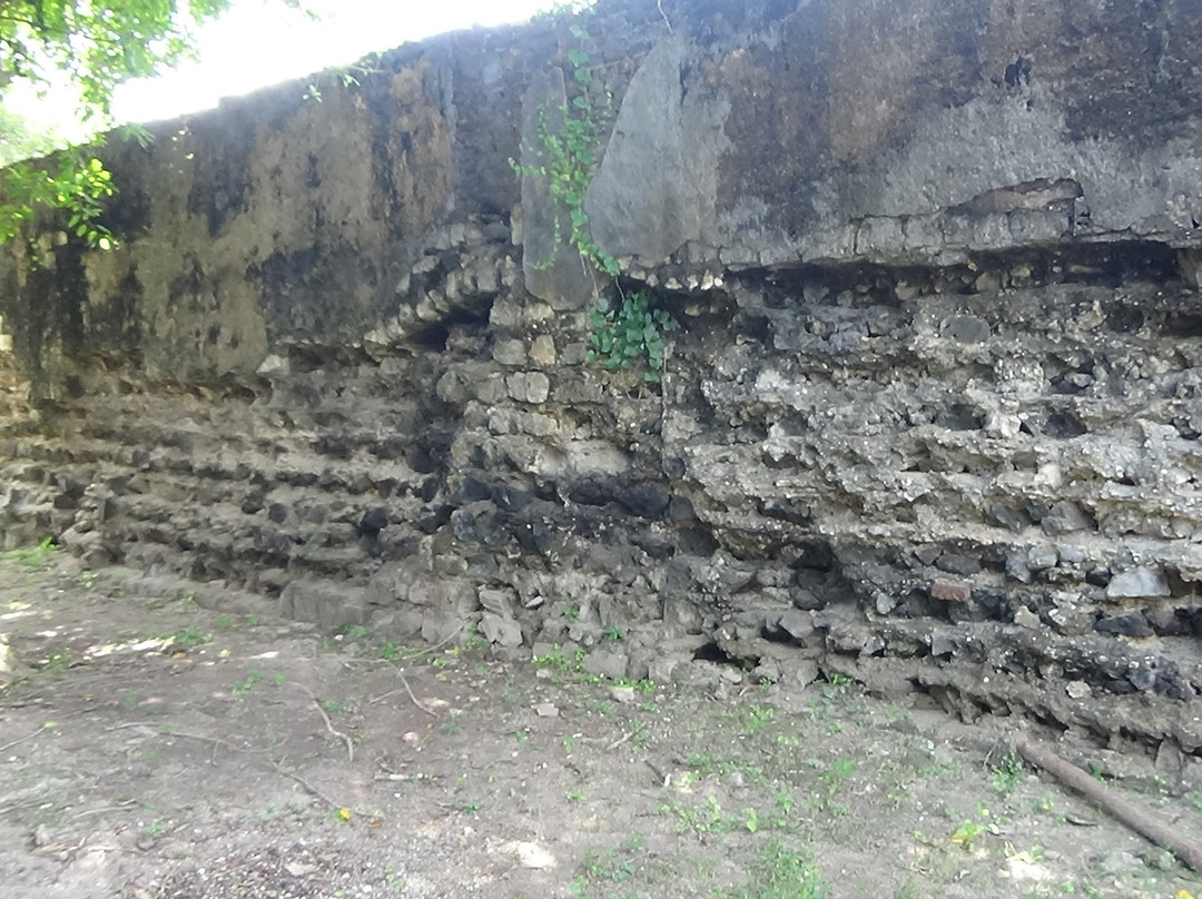 Arippu Dutch Fort-马纳尔必去景点