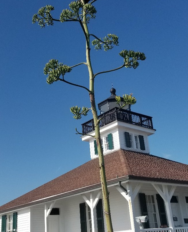 Port Boca Grande Lighthouse Museum-Boca Grande必去景点