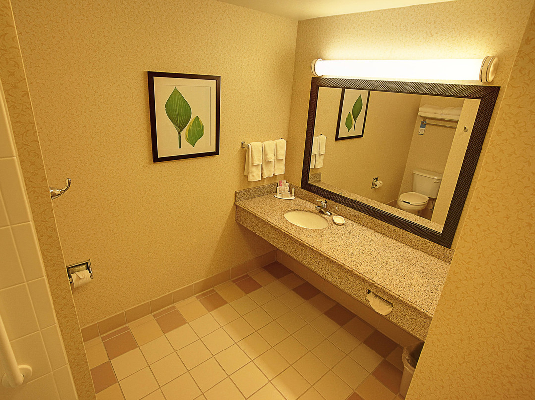 芒特弗农雷德湖费尔菲尔德套房酒店主图