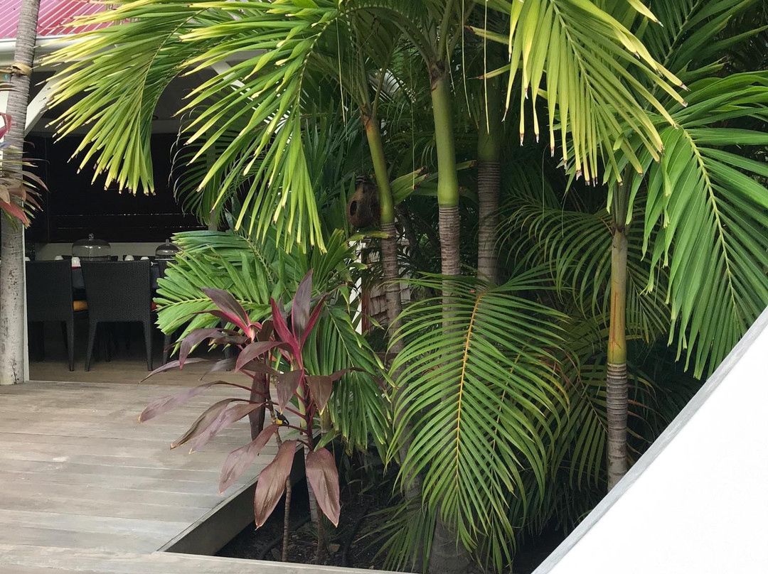 Salines Garden Cottages主图