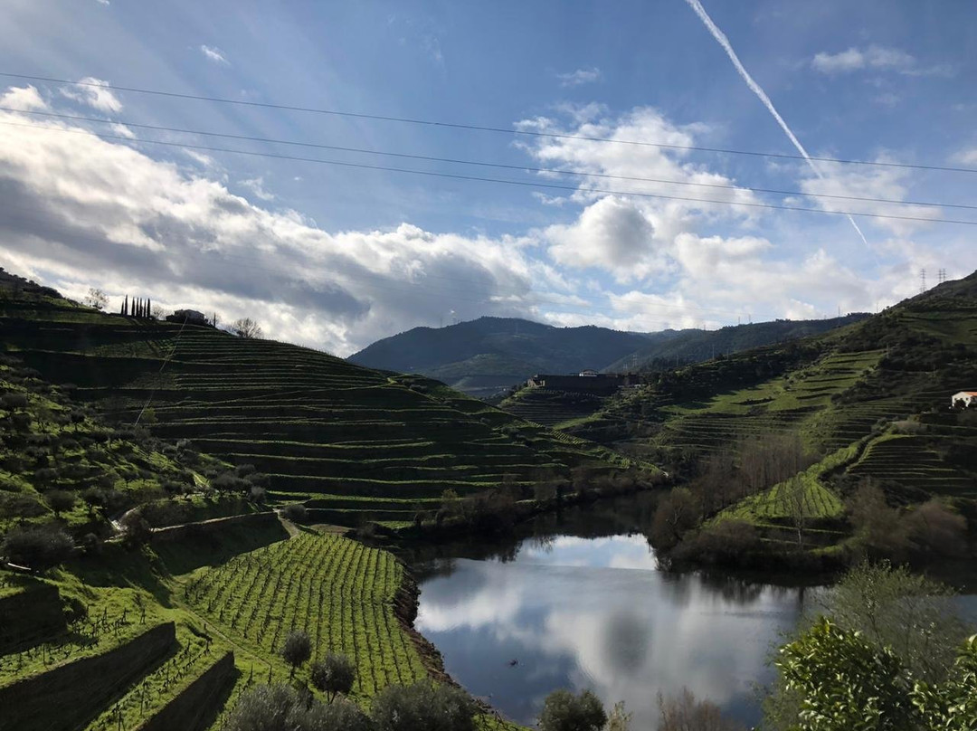 Quinta do Tedo主图