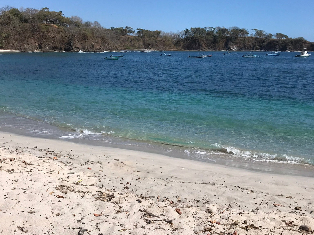 Guanacaste Experience景点图片