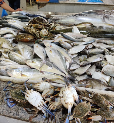 DhoIT - Dhofar International Tourism-塞拉莱必去景点