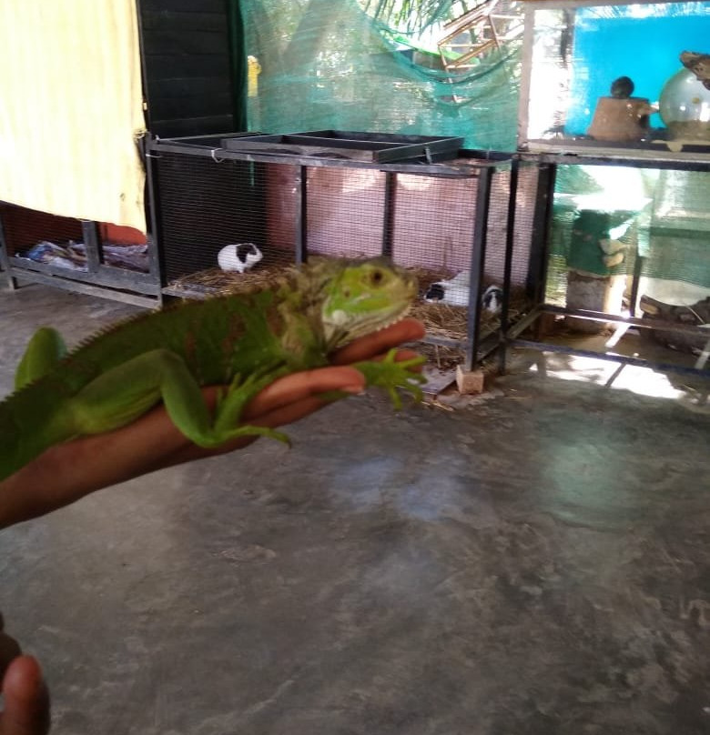 Prani, The Pet Sanctuary-班加罗尔必去景点