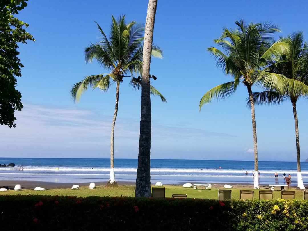 Hotel Club Del Mar主图