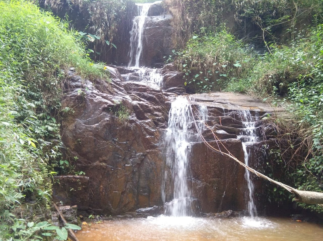 Rippon Mount Resorts主图