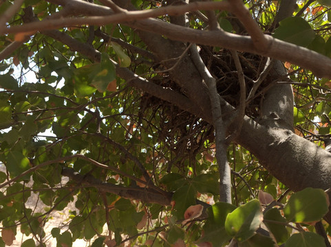 Reserva Nacional Las Chinchillas-Illapel必去景点