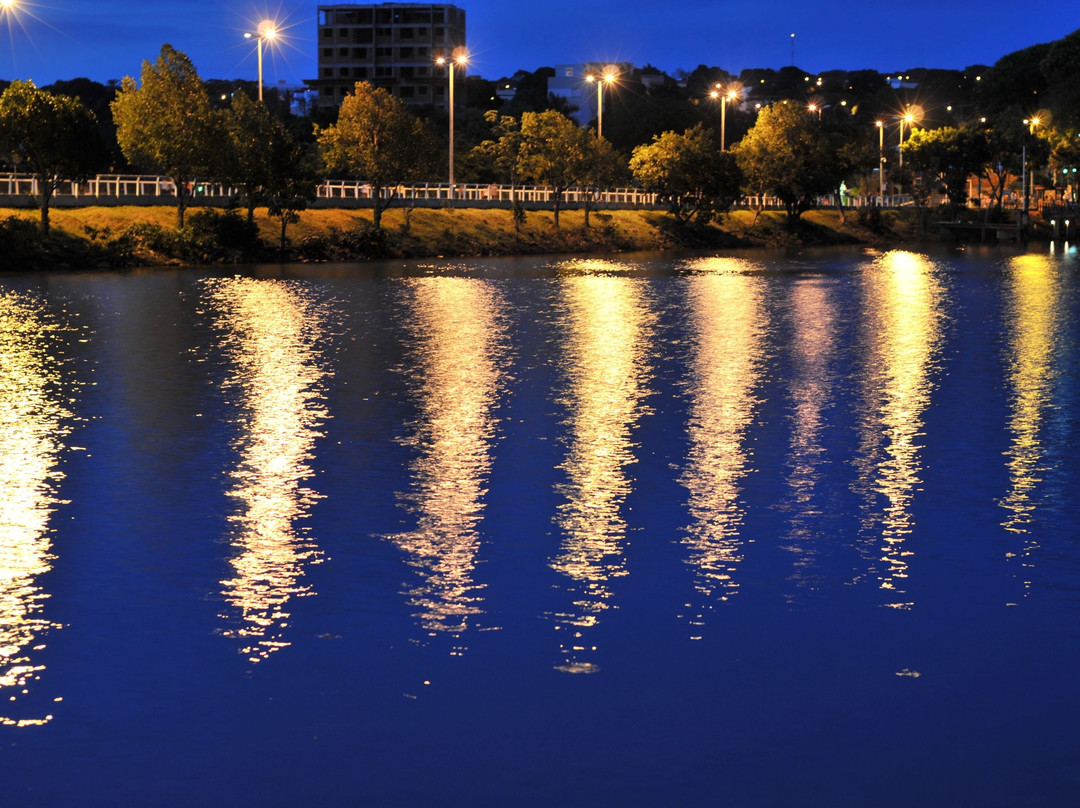 Parque do Sabiá-乌贝兰迪亚必去景点