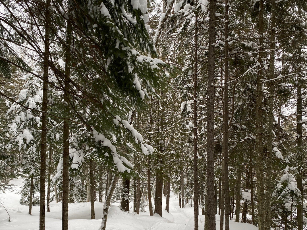Dorwin Falls Park-Rawdon必去景点