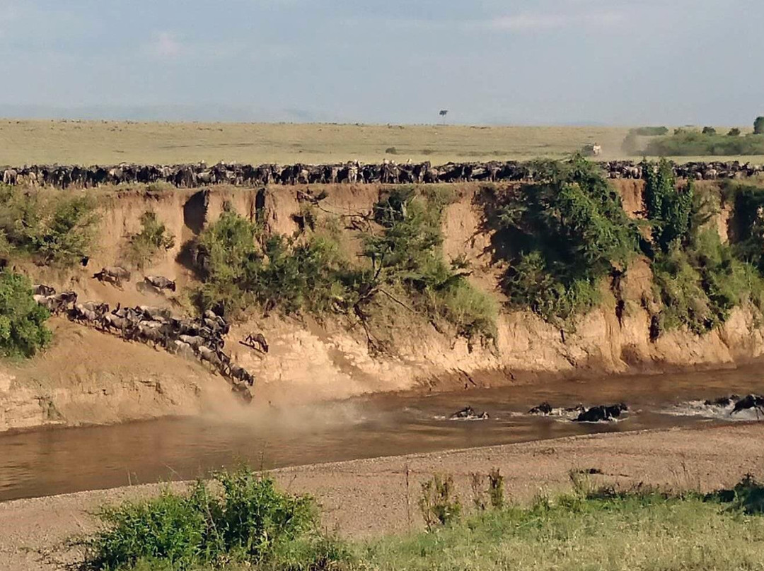 Kenyan Sun Safari景点图片