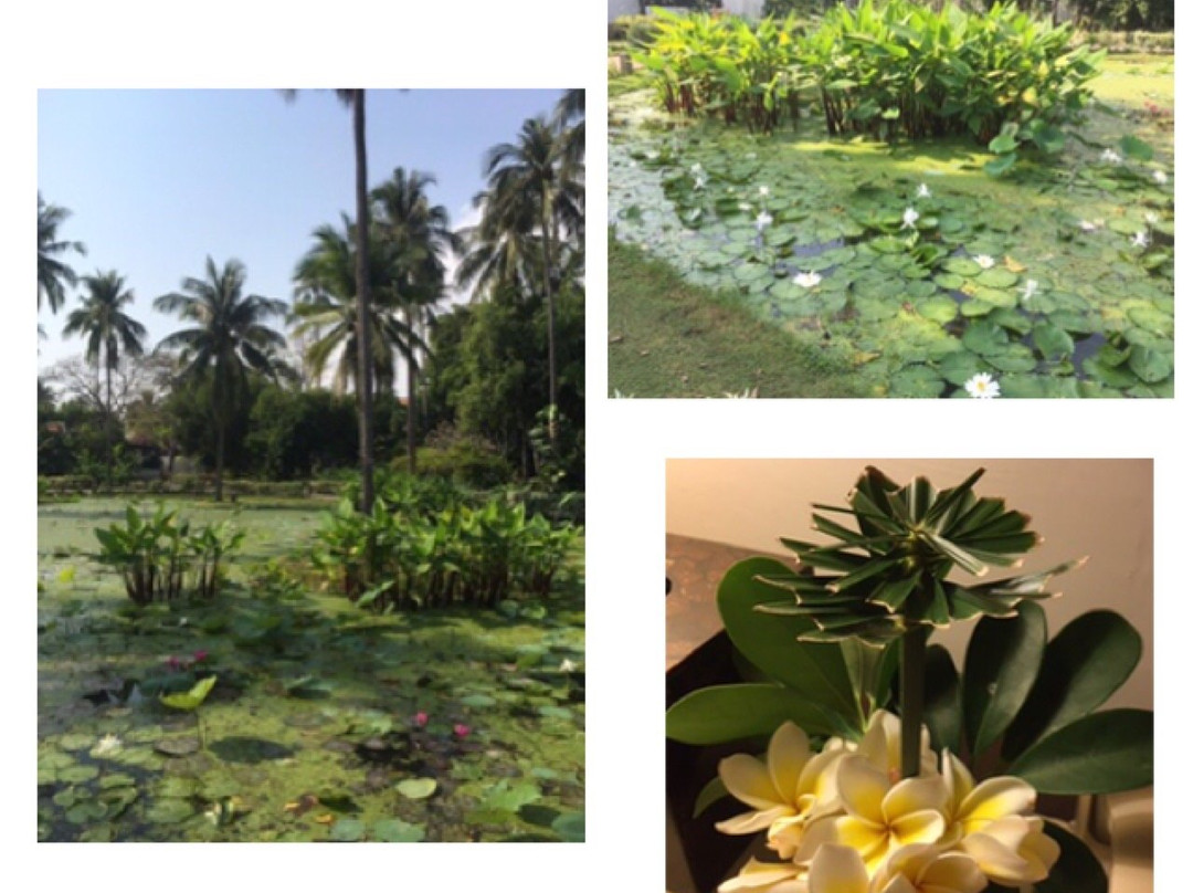 Six Senses Spa Huahin-蓬武里必去景点