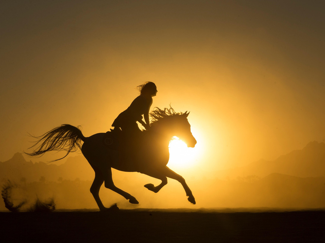 Sharm-达哈卜必去景点