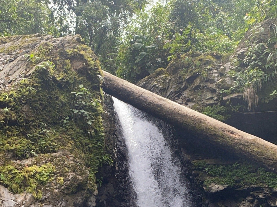 MidWorld Costa Rica景点图片